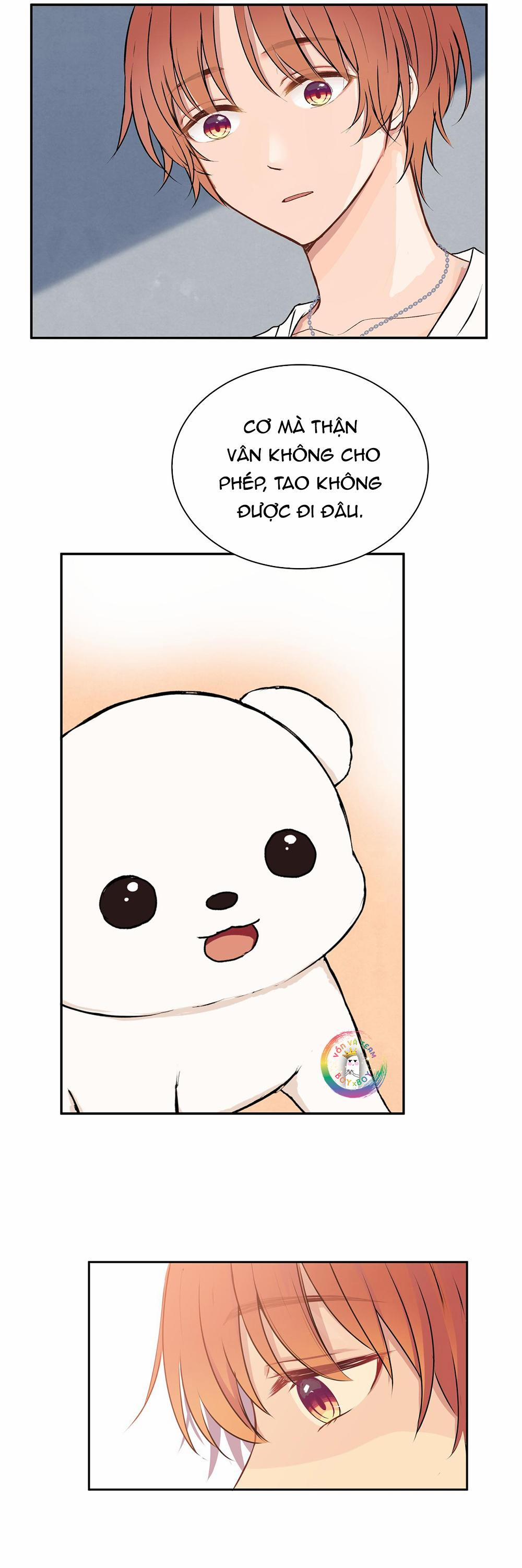 Liquor Gummies 28 trang 9