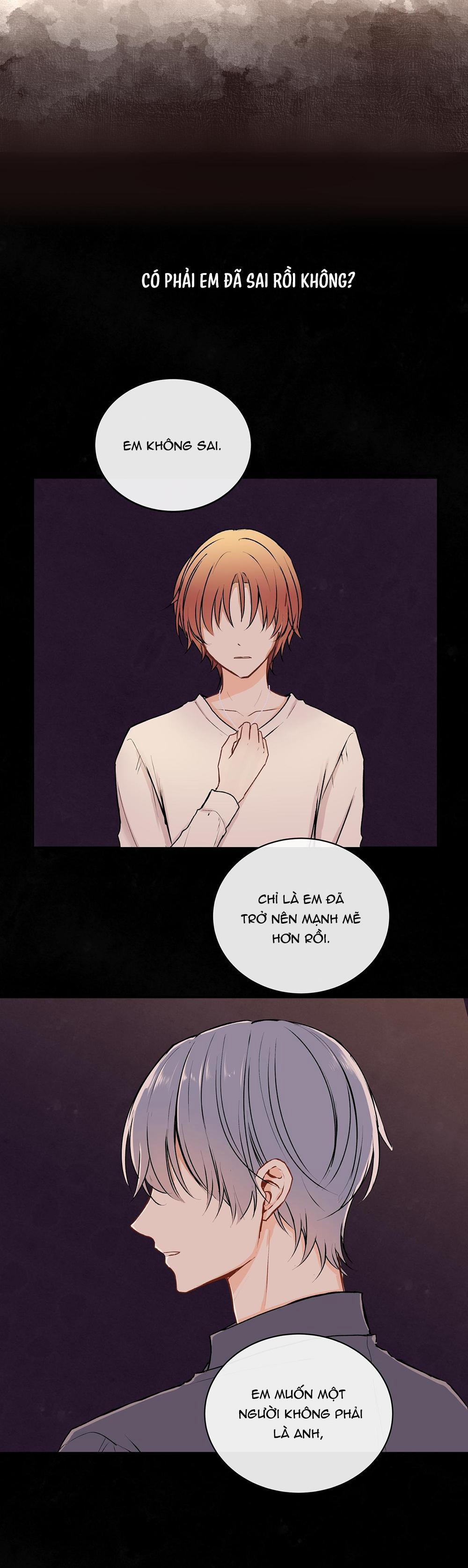 Liquor Gummies 29 trang 1