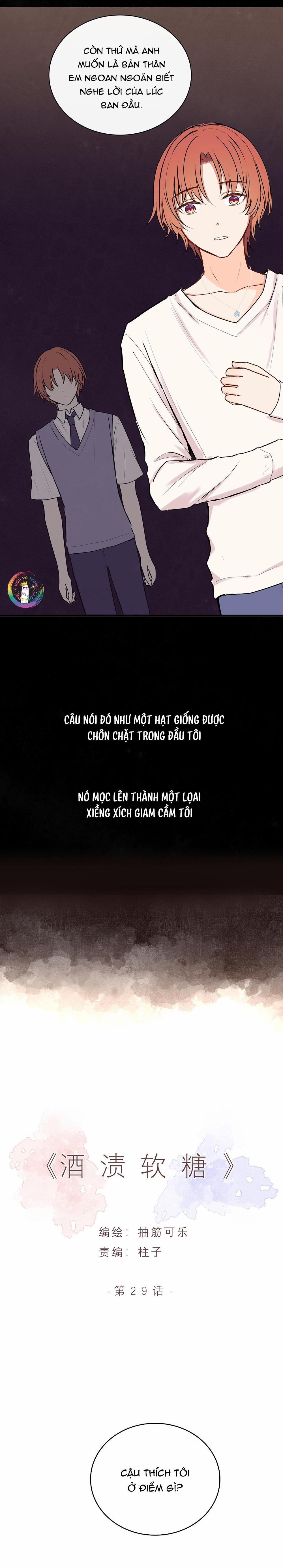 Liquor Gummies 29 trang 2