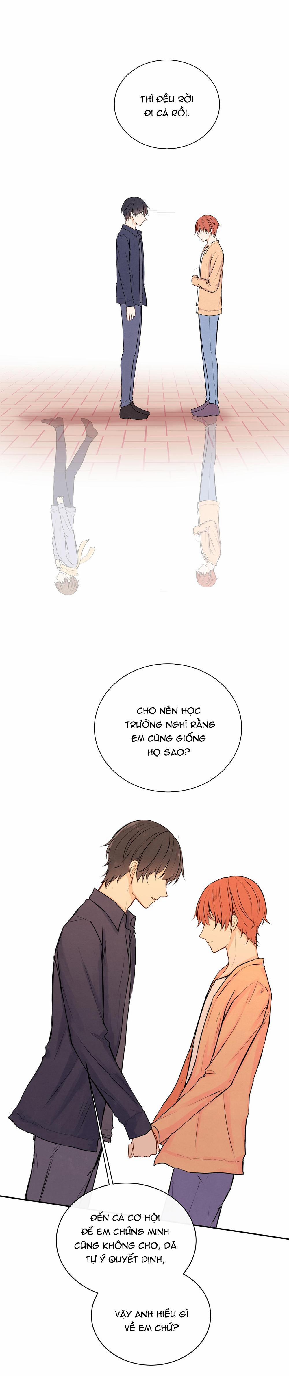 Liquor Gummies 29 trang 4