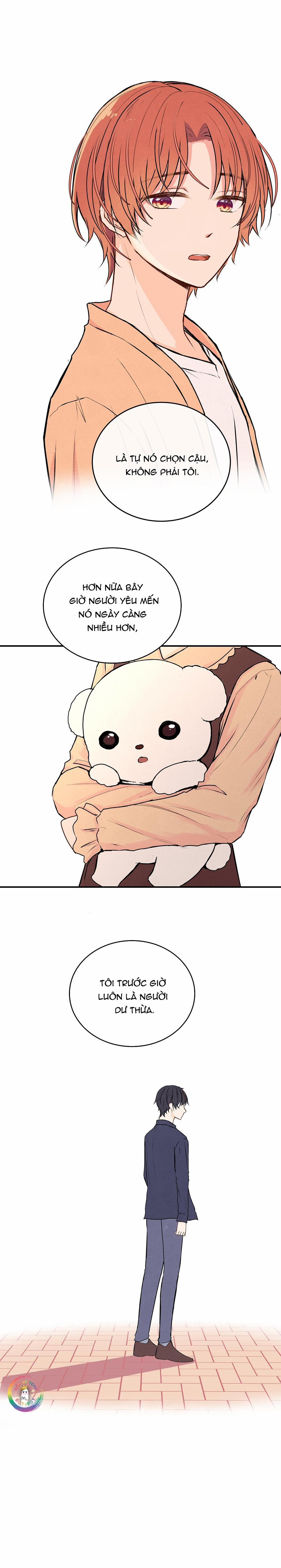 Liquor Gummies 29 trang 7