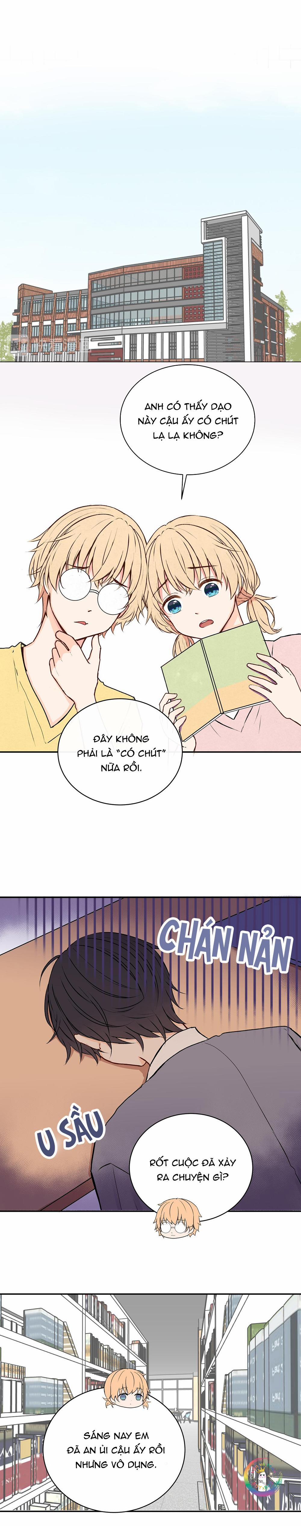 Liquor Gummies 29 trang 8