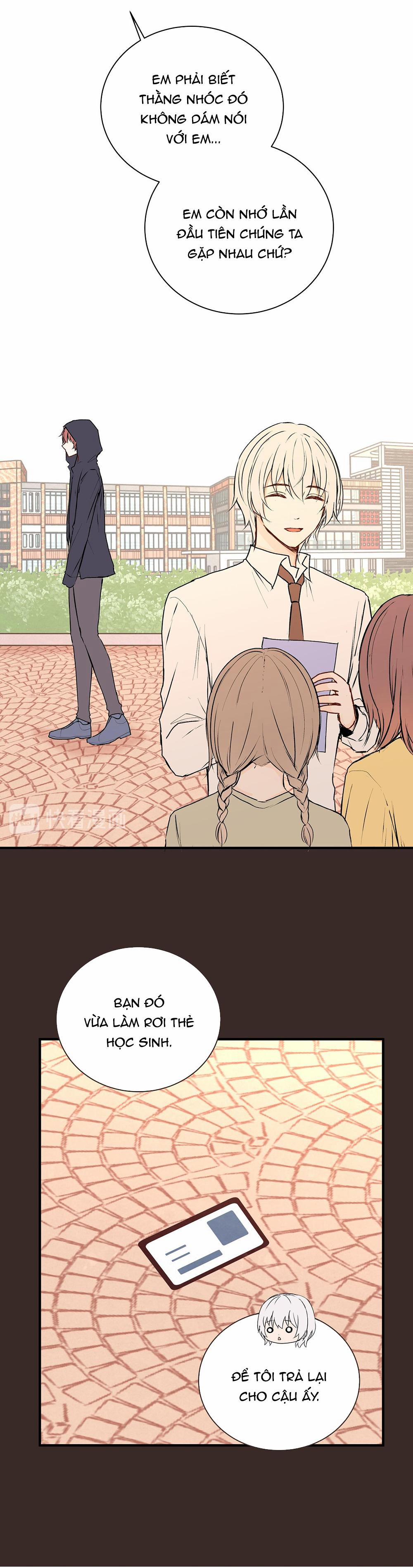 Liquor Gummies 30 trang 10