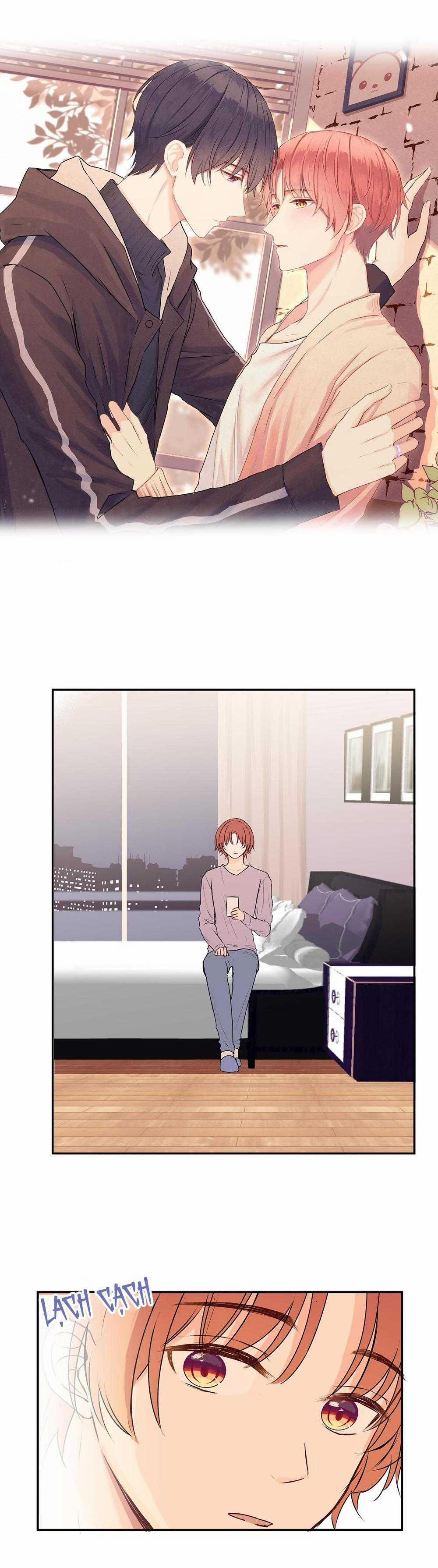 Liquor Gummies 33 trang 1