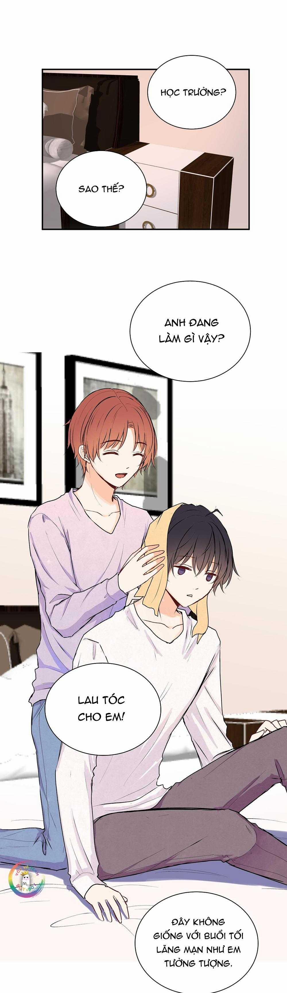 Liquor Gummies 33 trang 4