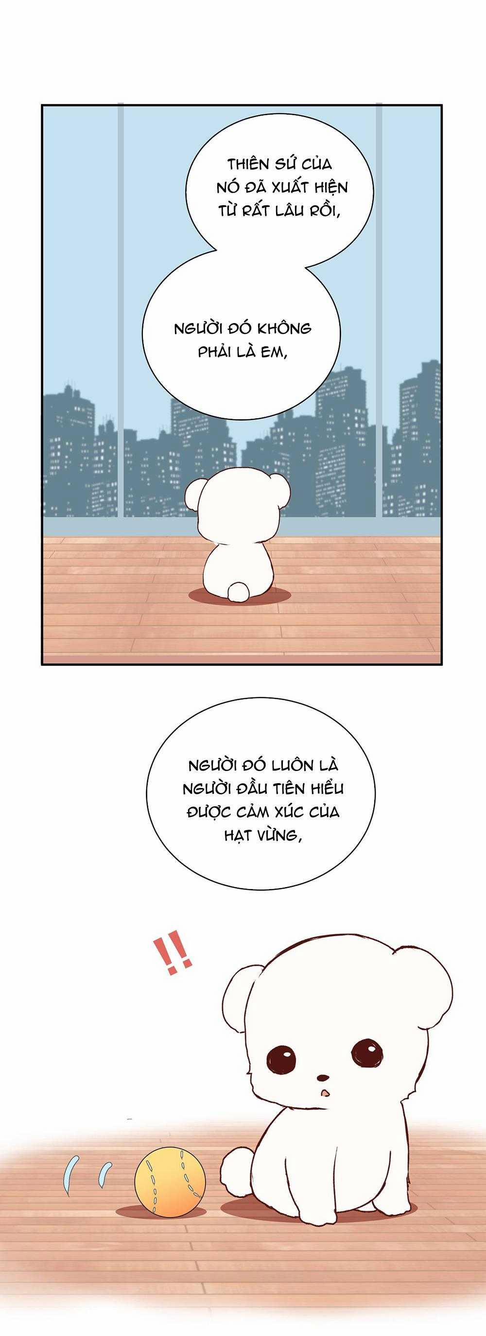 Liquor Gummies 34 trang 12