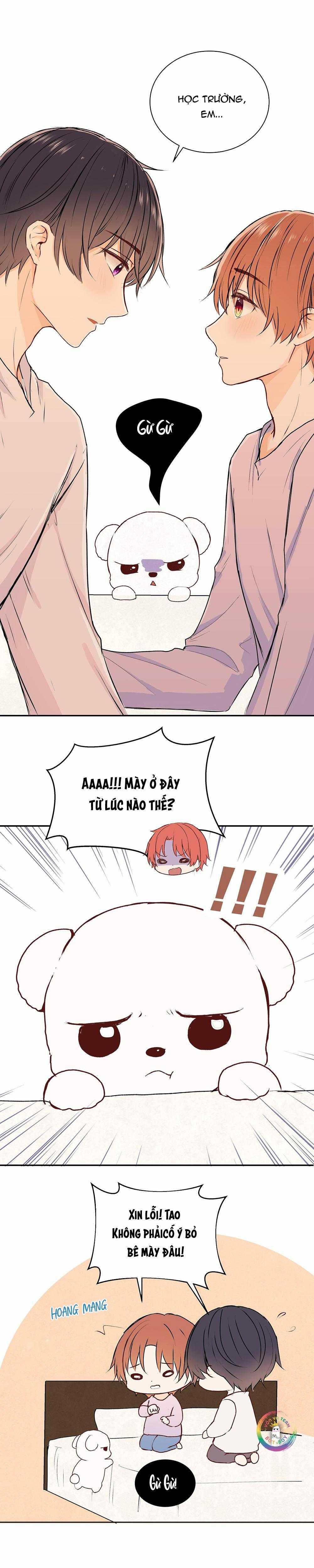 Liquor Gummies 34 trang 4