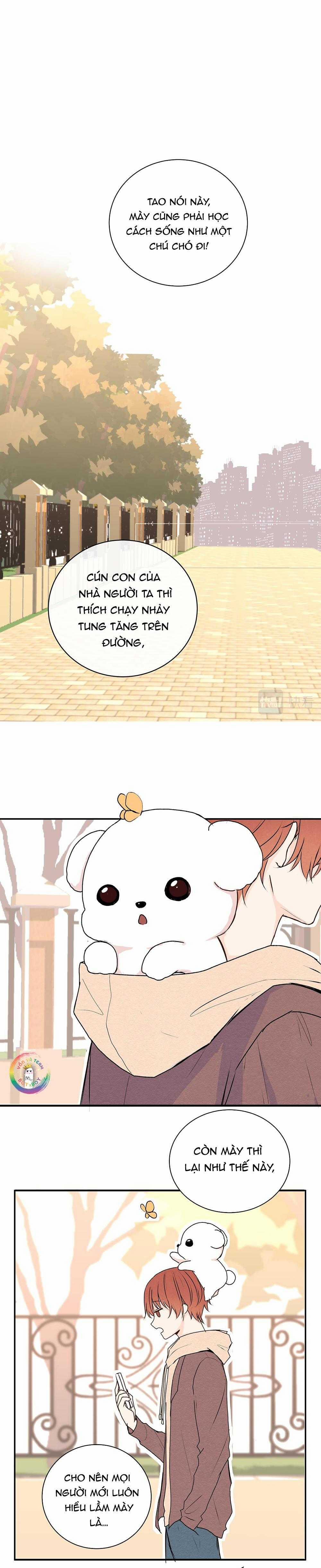 Liquor Gummies 35 trang 8