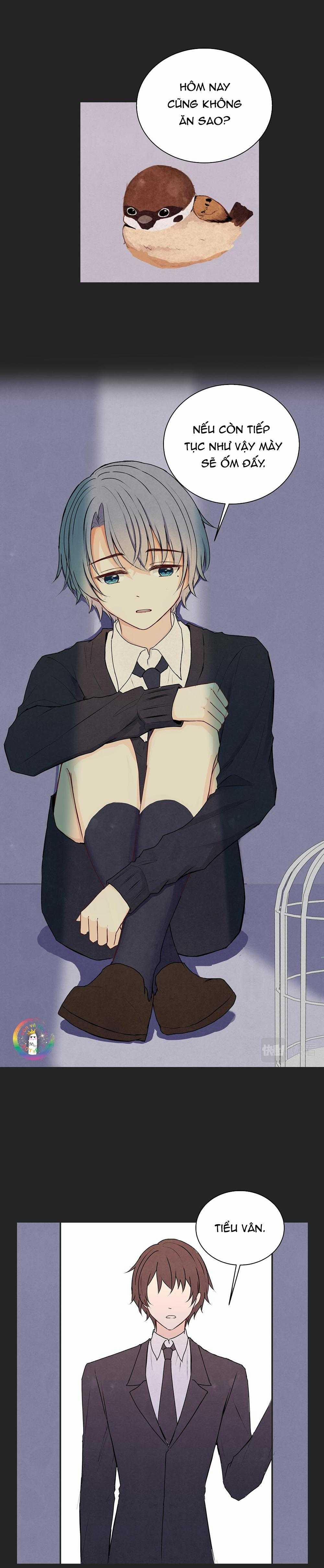 Liquor Gummies 36 trang 1