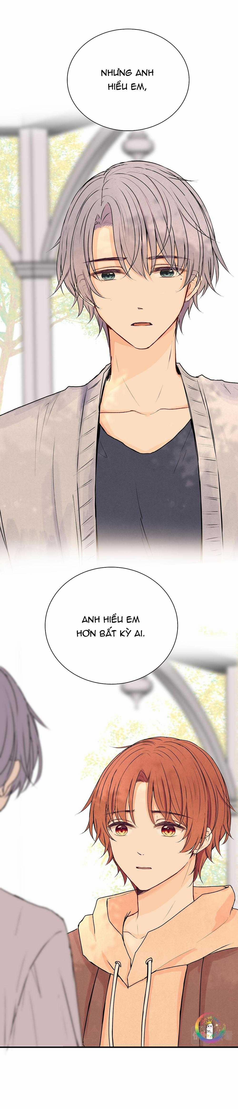 Liquor Gummies 36 trang 10