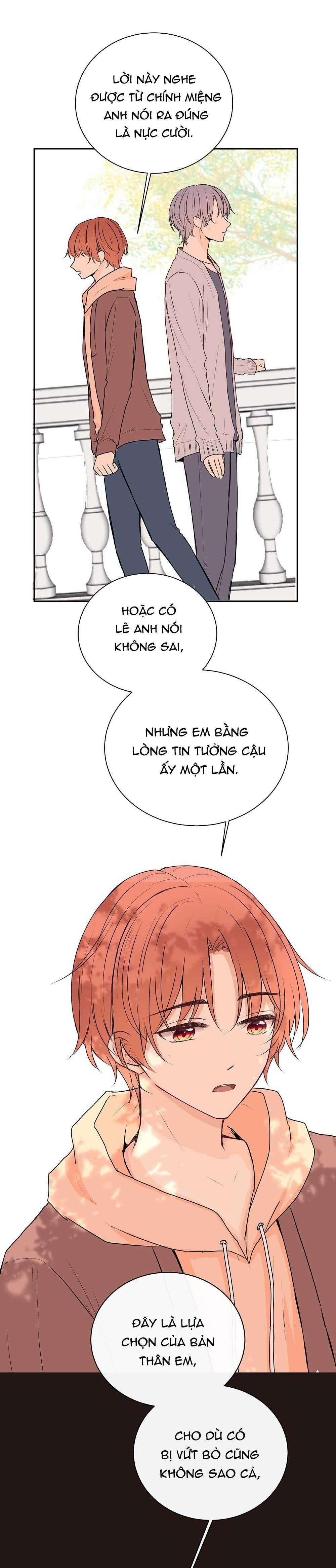 Liquor Gummies 36 trang 11