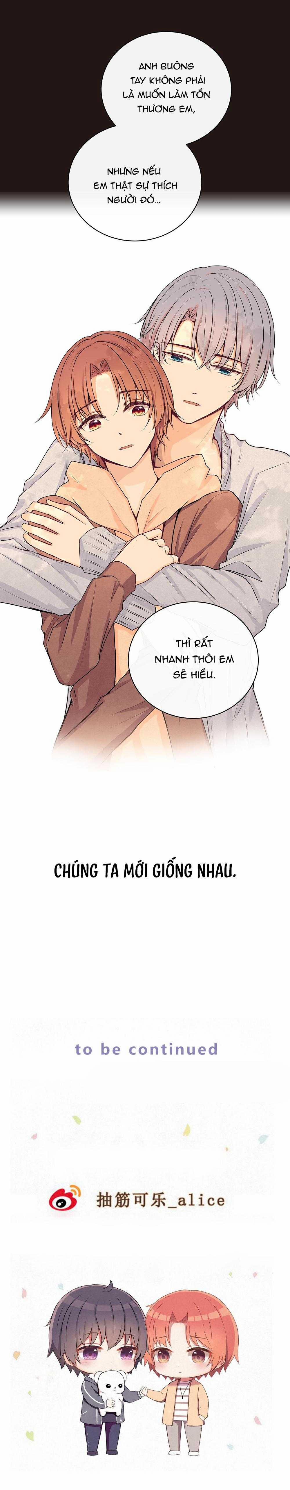 Liquor Gummies 36 trang 13