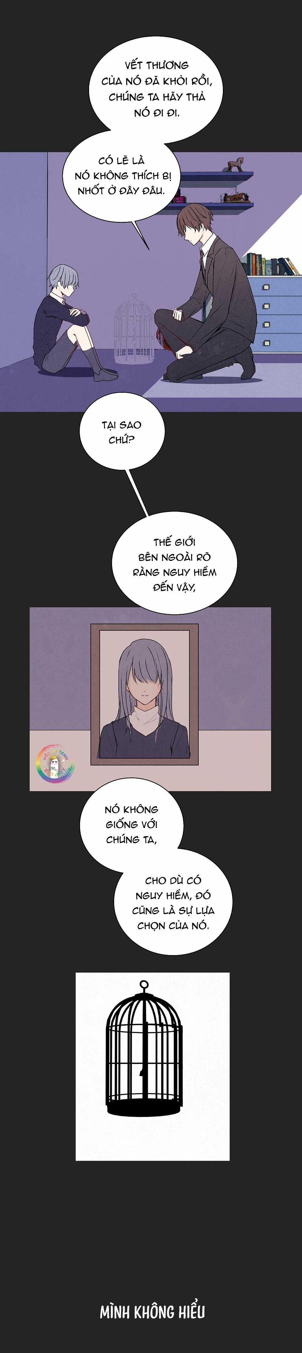 Liquor Gummies 36 trang 2