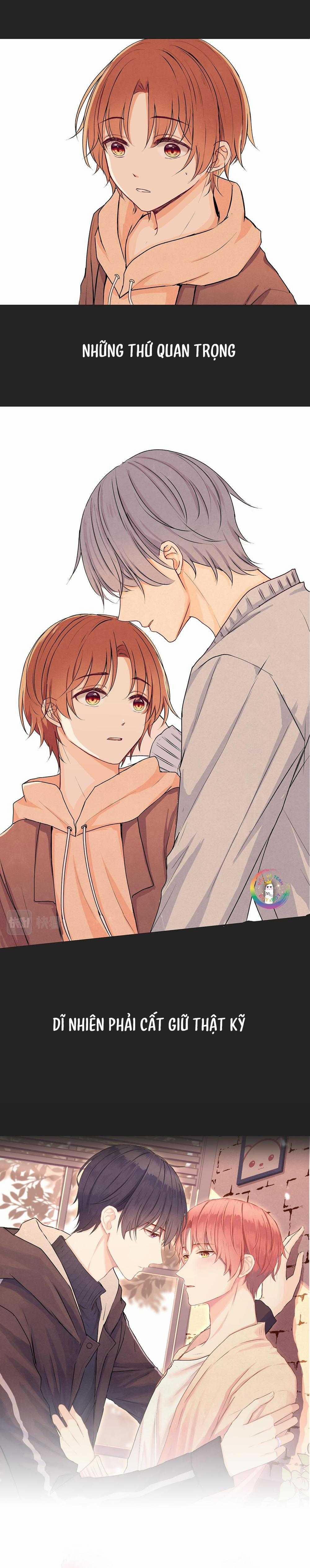 Liquor Gummies 36 trang 3