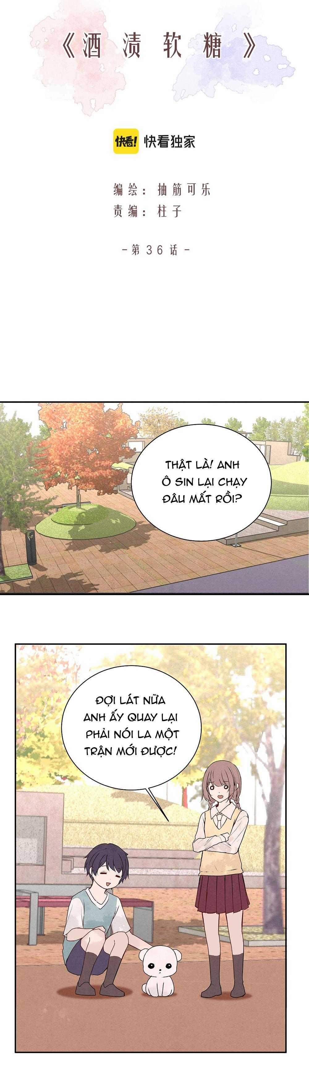 Liquor Gummies 36 trang 4