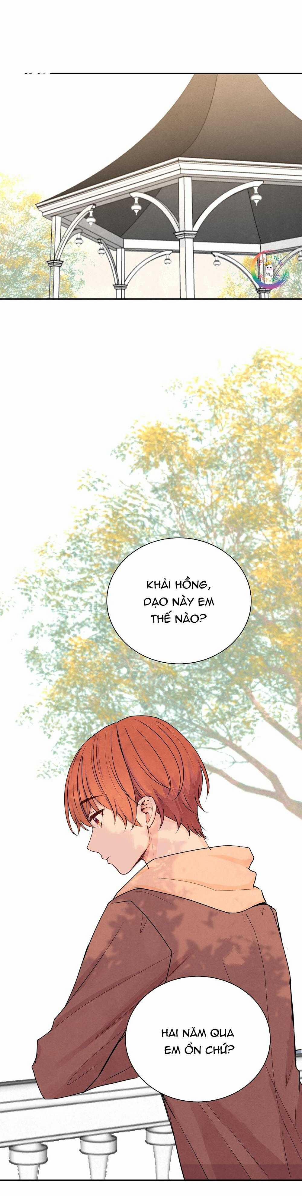 Liquor Gummies 36 trang 5