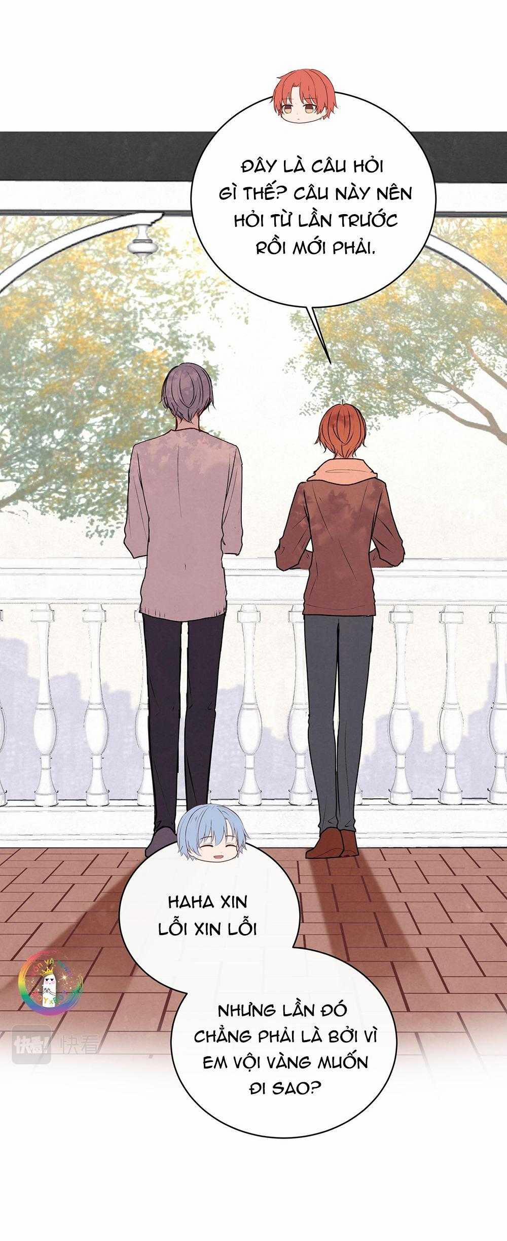 Liquor Gummies 36 trang 6