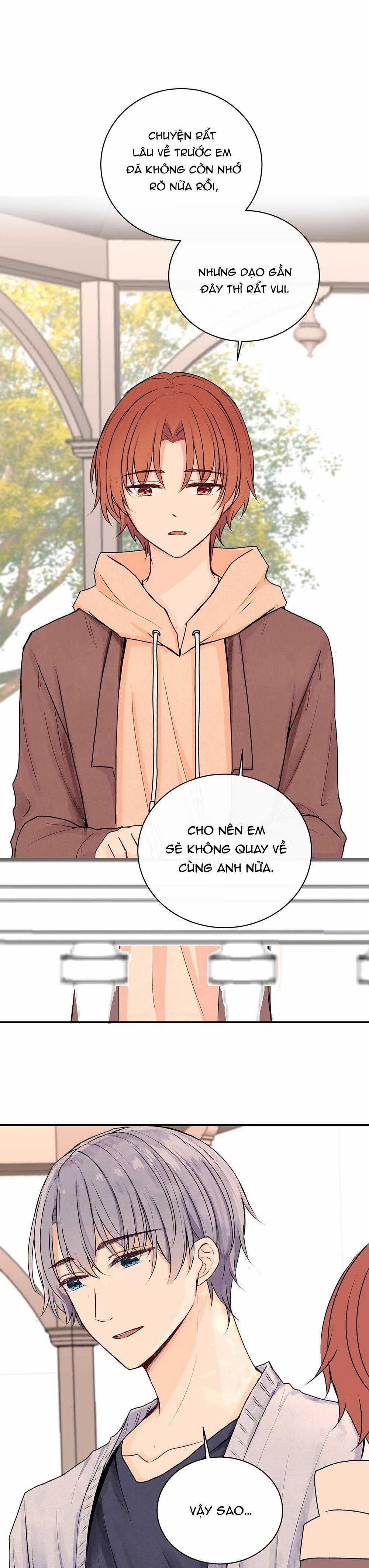 Liquor Gummies 36 trang 7