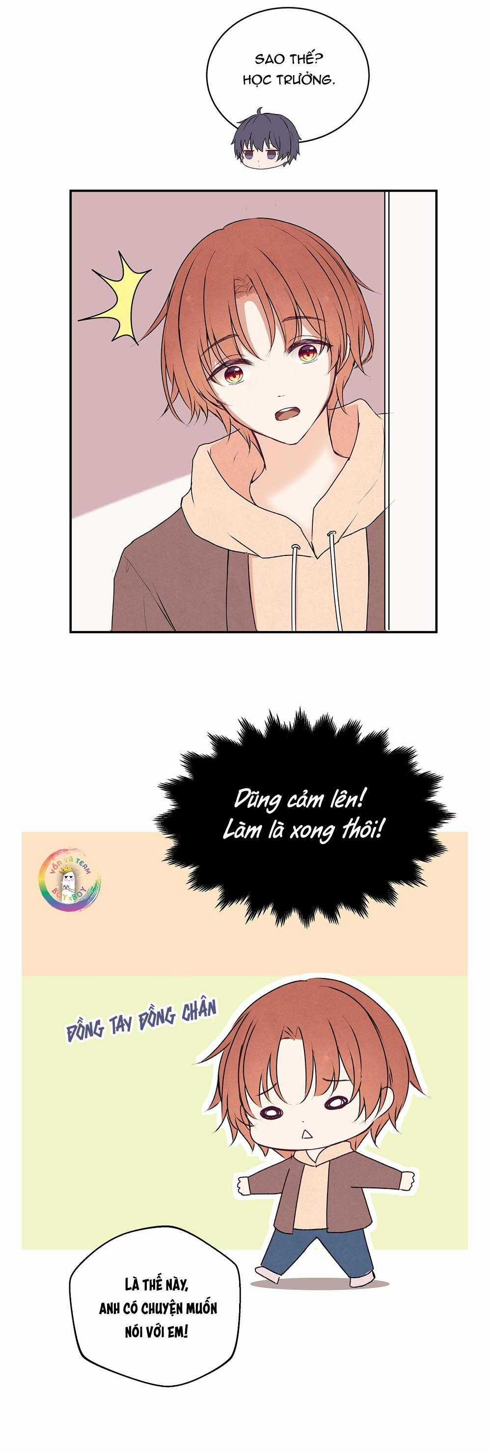 Liquor Gummies 37 trang 11