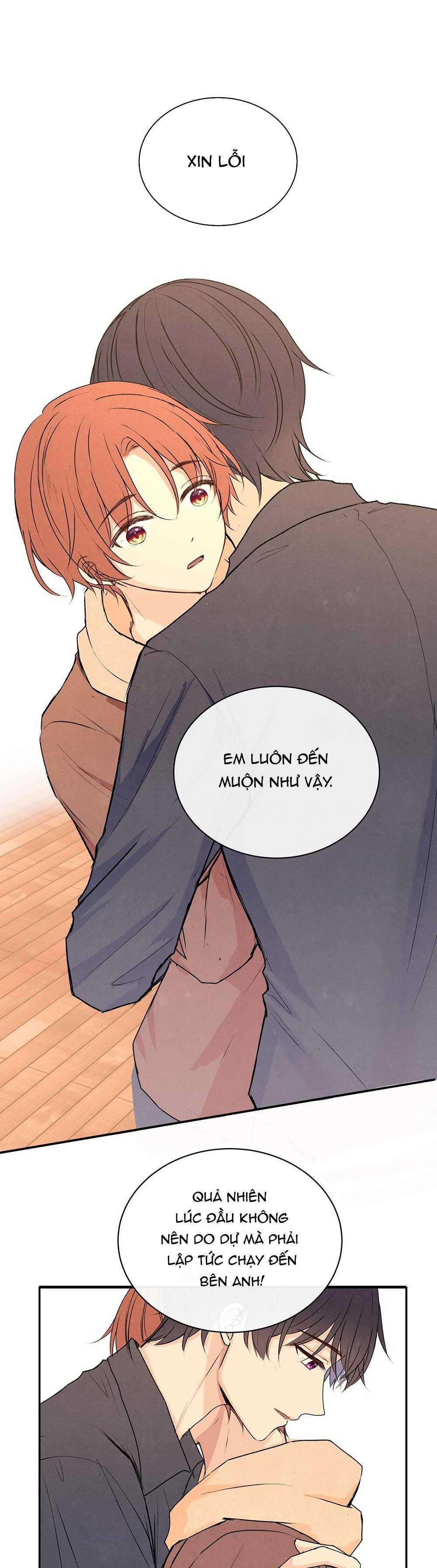 Liquor Gummies 37 trang 14