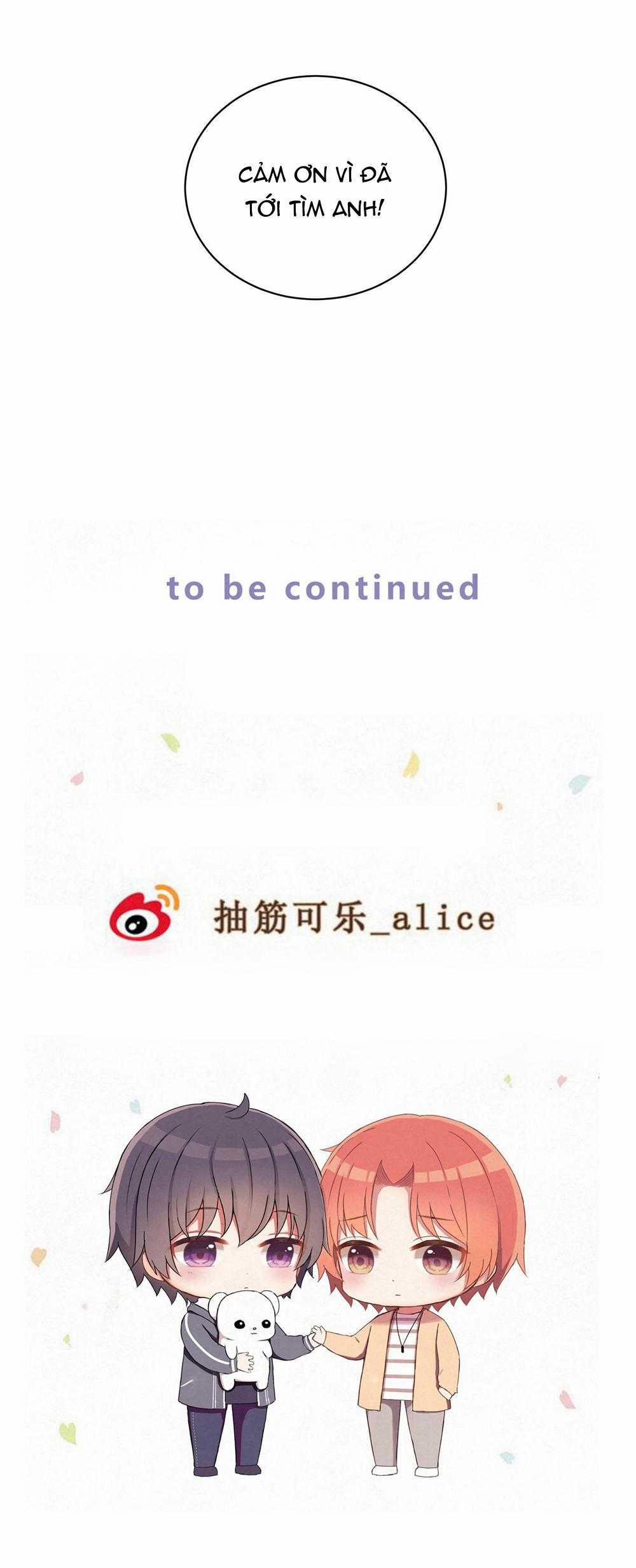 Liquor Gummies 37 trang 16