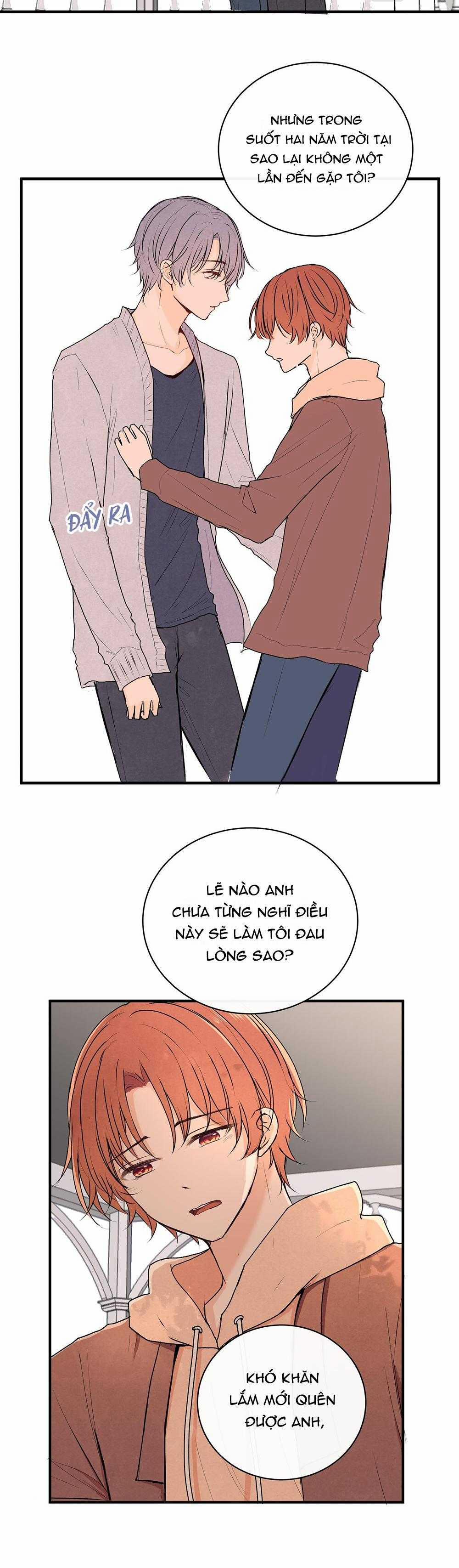 Liquor Gummies 37 trang 2