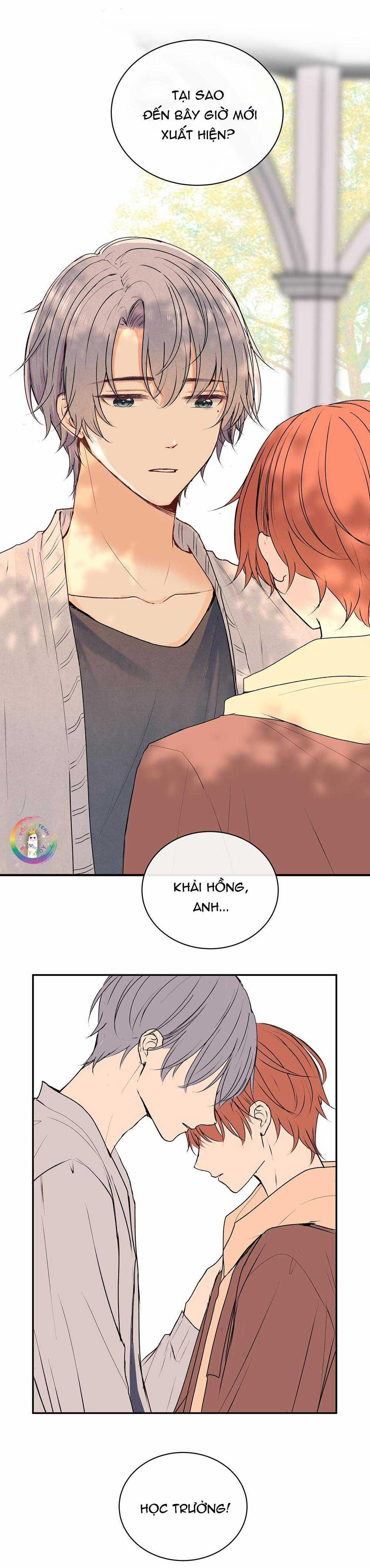 Liquor Gummies 37 trang 3