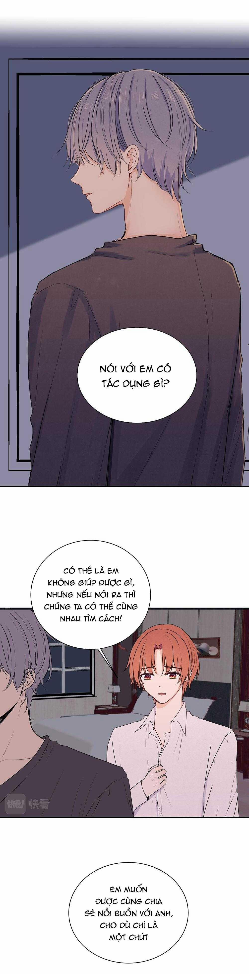 Liquor Gummies 38 trang 5