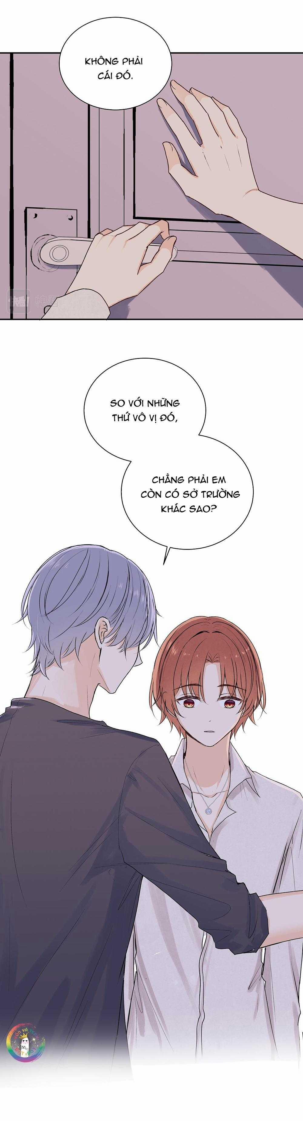 Liquor Gummies 38 trang 8