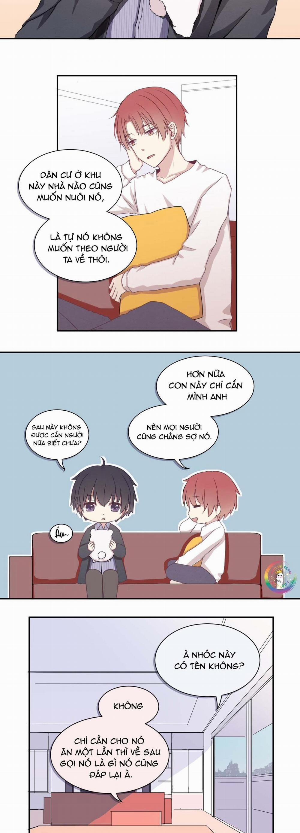 Liquor Gummies 4 trang 1