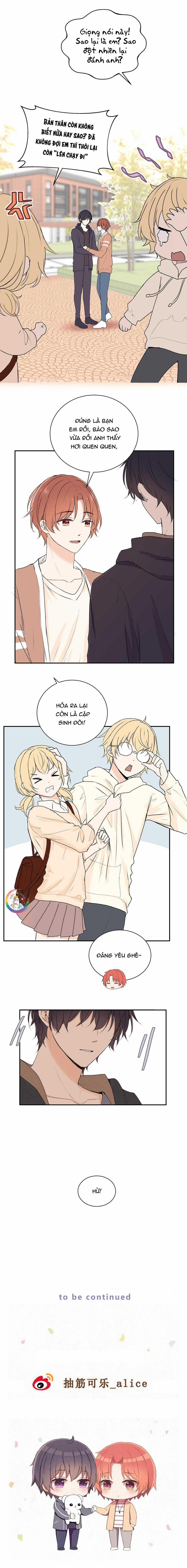 Liquor Gummies 40 trang 5