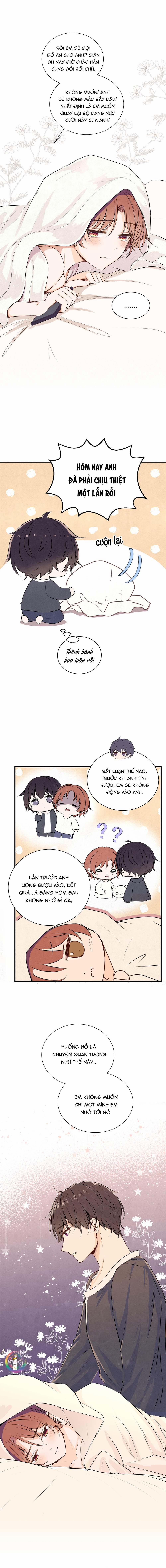 Liquor Gummies 43 trang 2