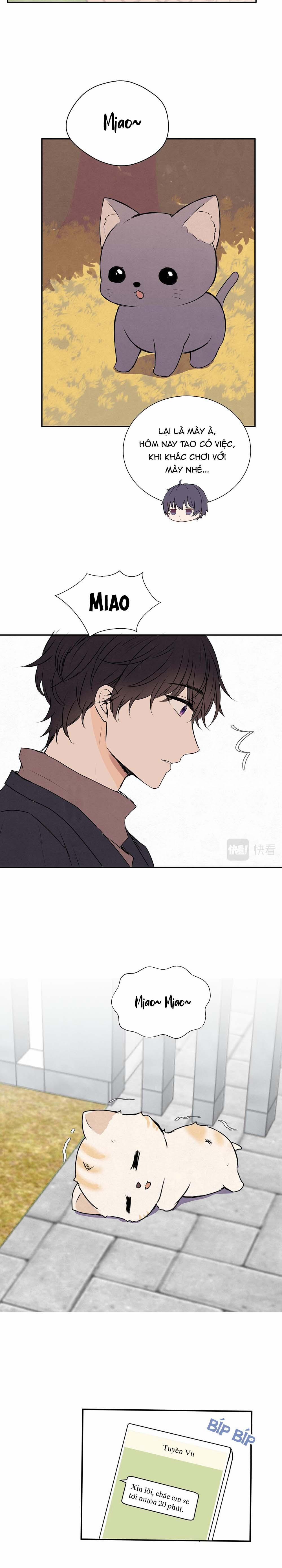 Liquor Gummies 44 trang 5