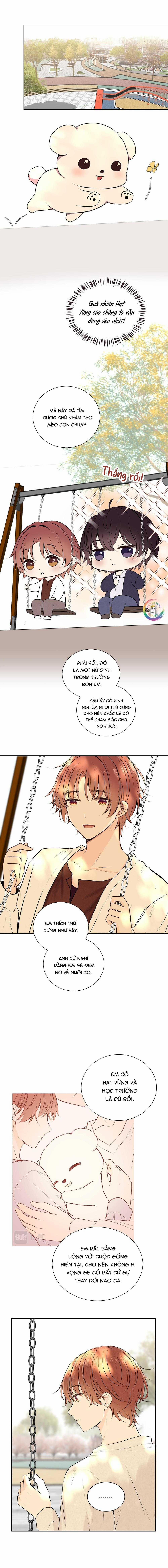 Liquor Gummies 47 trang 4