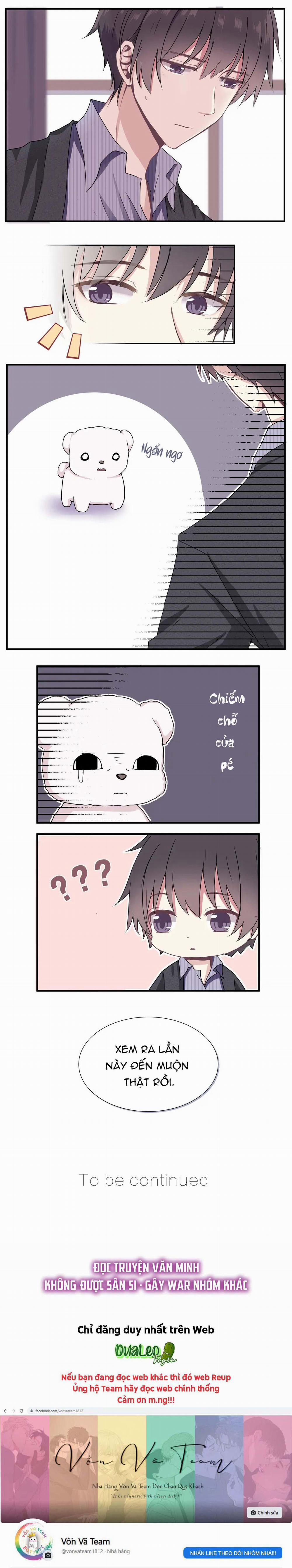 Liquor Gummies 5 trang 6