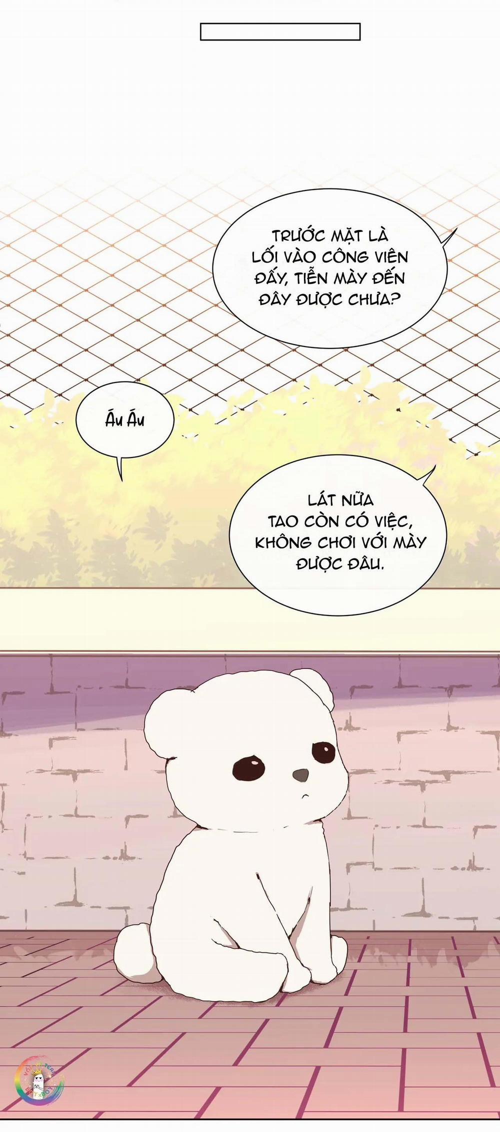 Liquor Gummies 7 trang 11