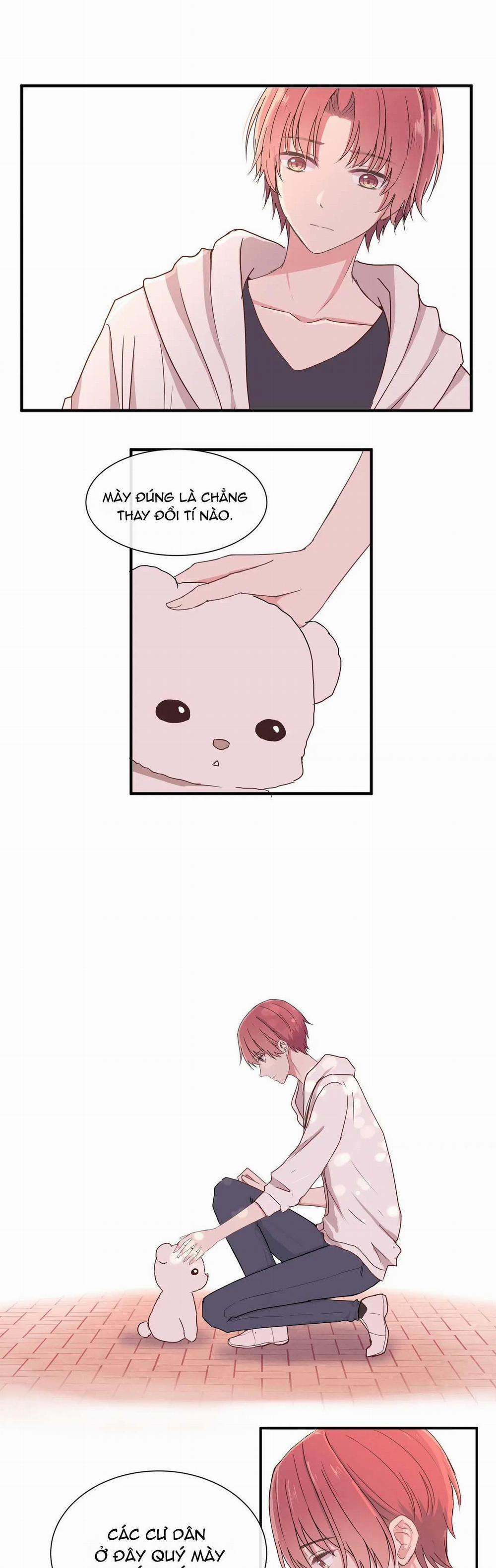 Liquor Gummies 7 trang 13