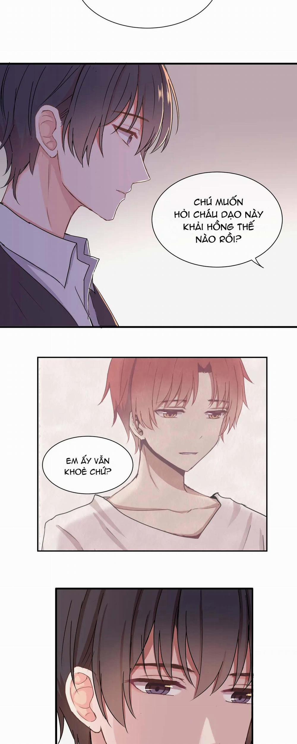 Liquor Gummies 7 trang 4