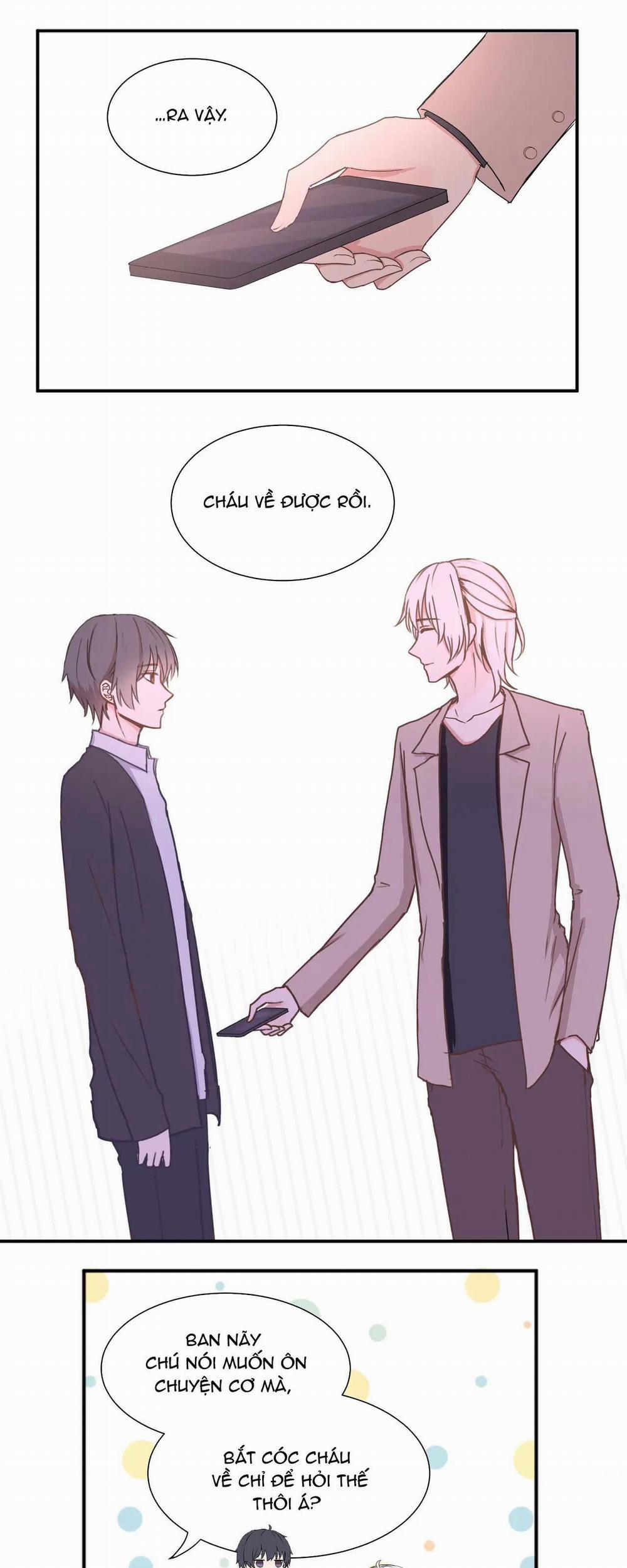 Liquor Gummies 7 trang 6