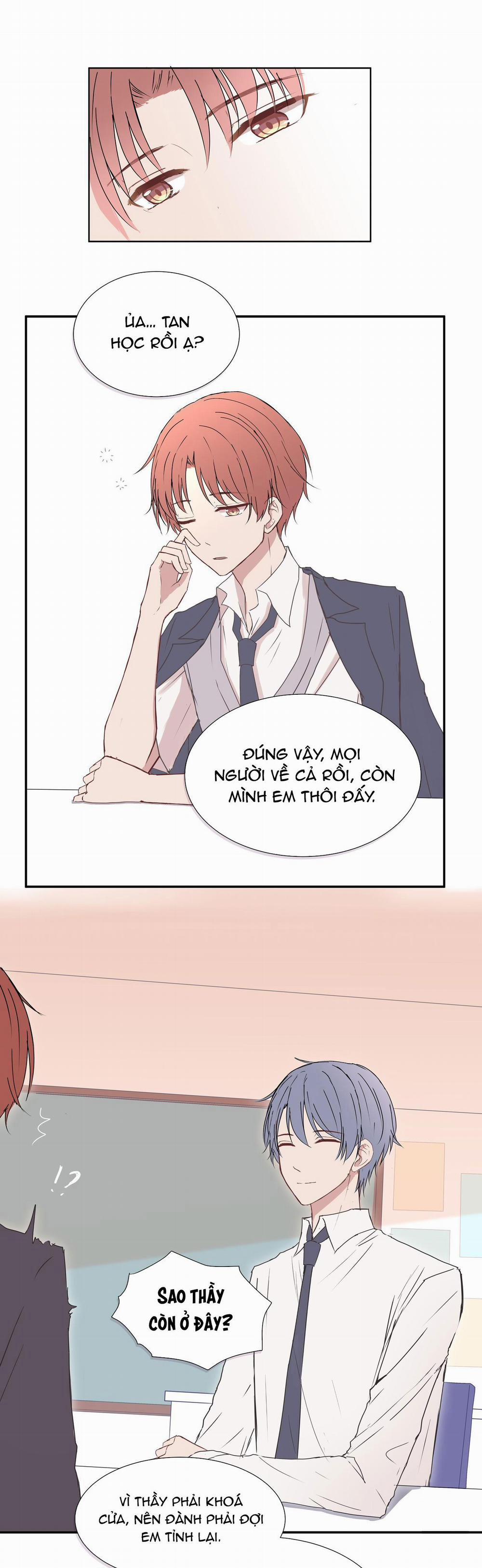 Liquor Gummies 8 trang 3