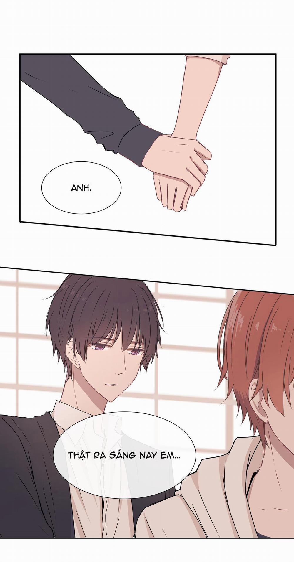 Liquor Gummies 8 trang 9