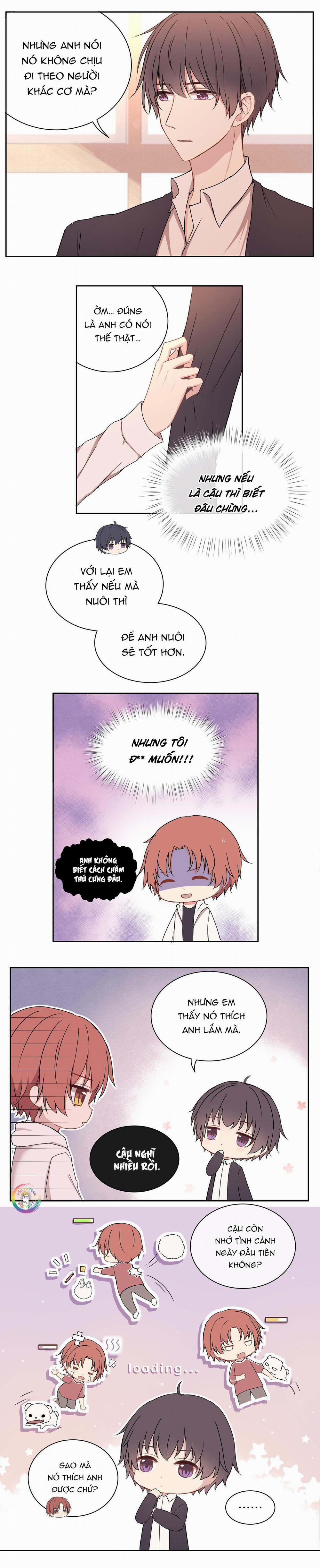 Liquor Gummies 9 trang 2