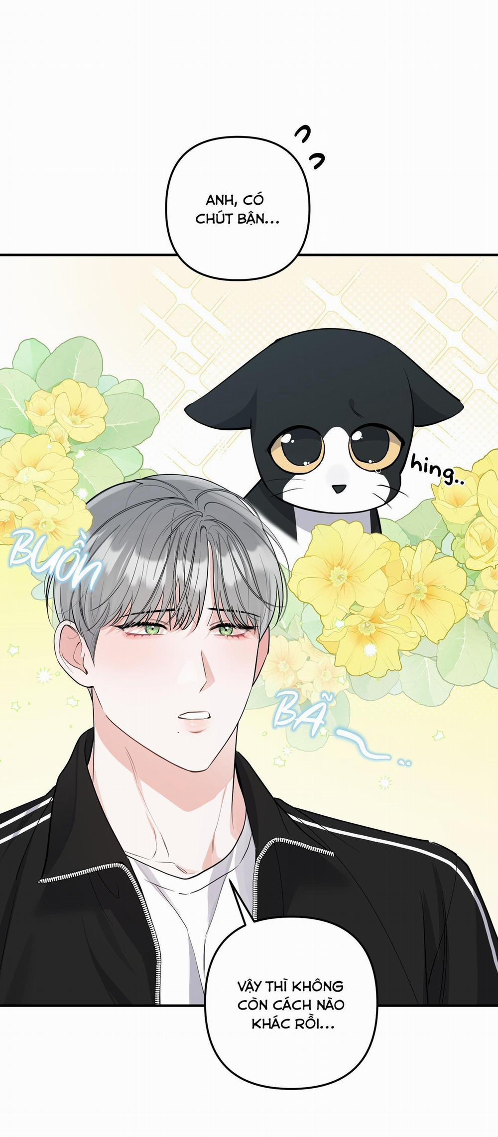 List Truyện Ngắn Chịt Chịt 68 MÈO 1 trang 41