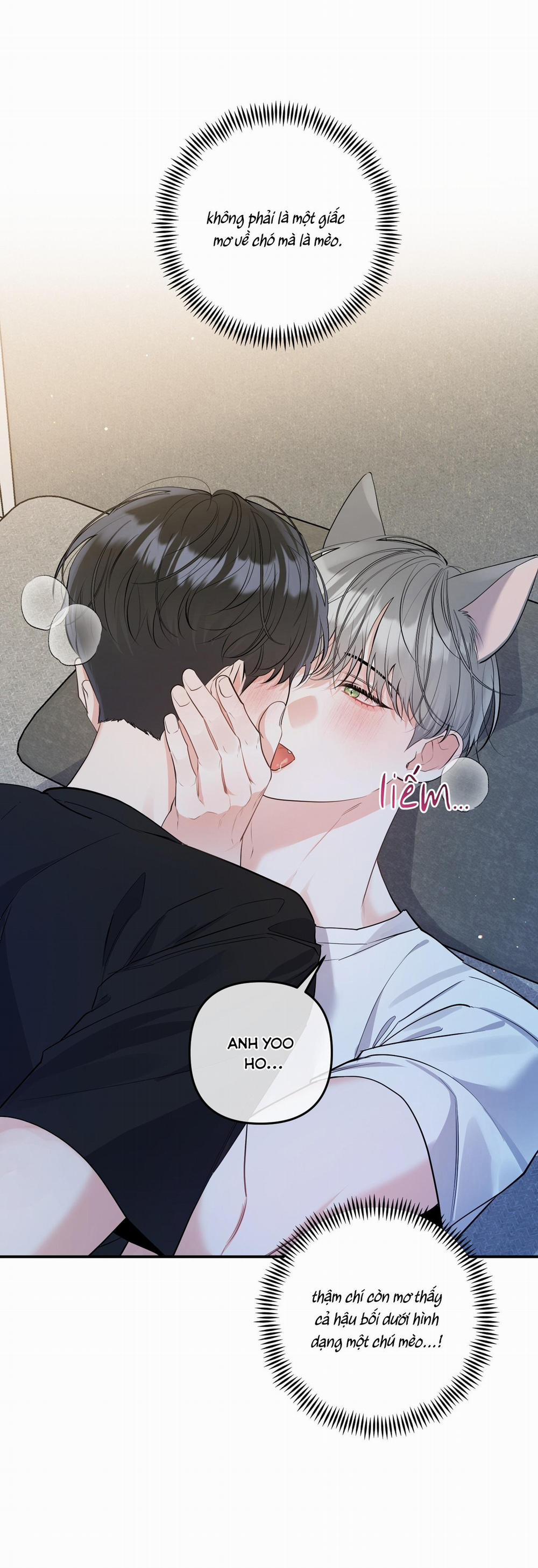 List Truyện Ngắn Chịt Chịt 68 MÈO 1 trang 5