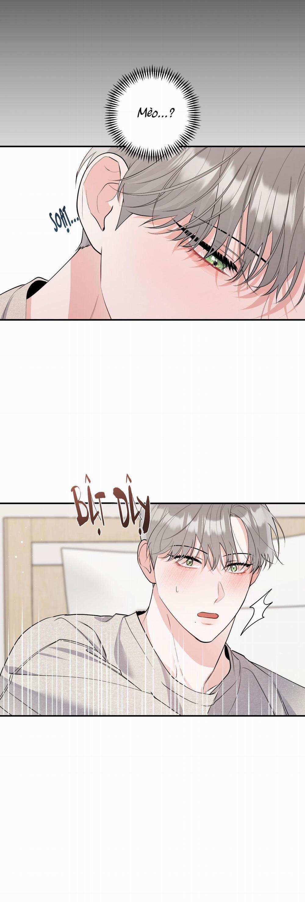 List Truyện Ngắn Chịt Chịt 70 MÈO 3 trang 25