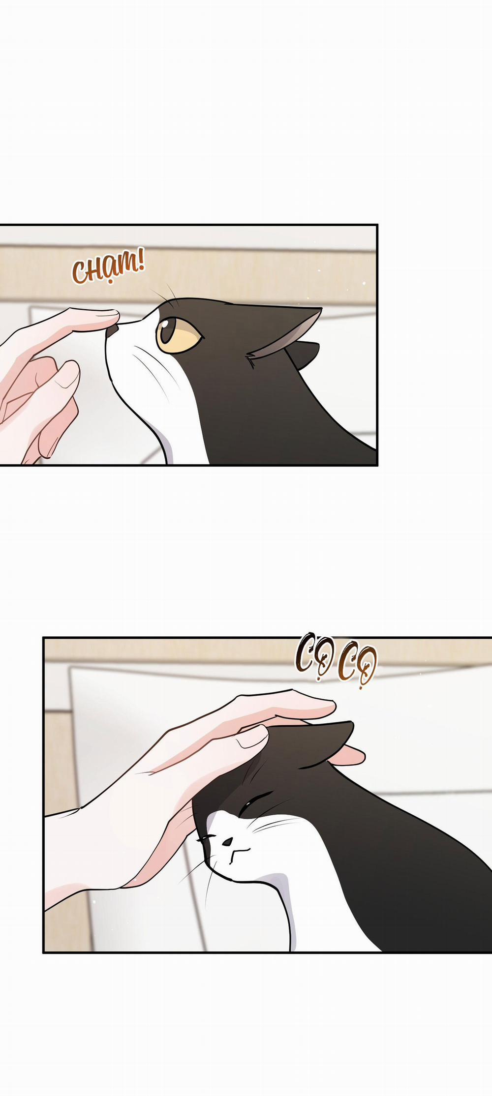 List Truyện Ngắn Chịt Chịt 70 MÈO 3 trang 8