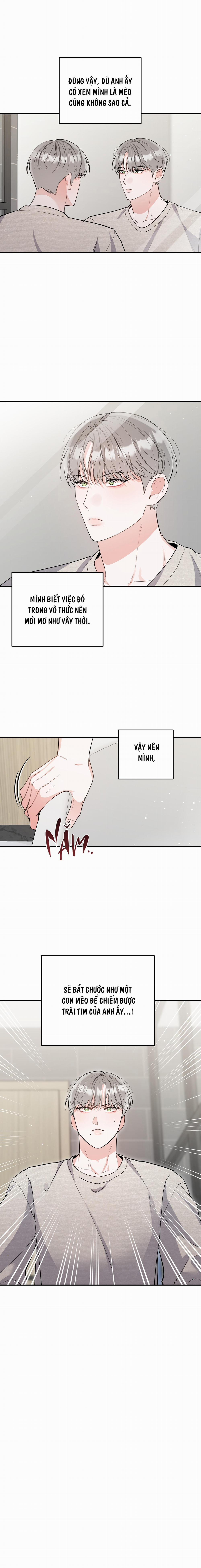 List Truyện Ngắn Chịt Chịt 71 MÈO 4 trang 12