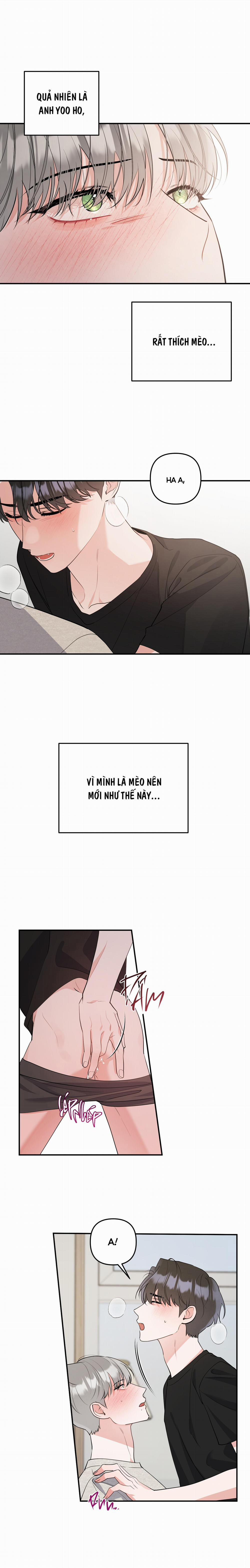 List Truyện Ngắn Chịt Chịt 71 MÈO 4 trang 4