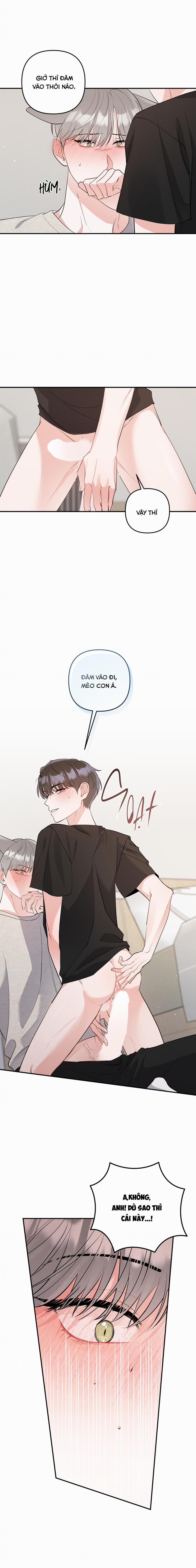 List Truyện Ngắn Chịt Chịt 71 MÈO 4 trang 7