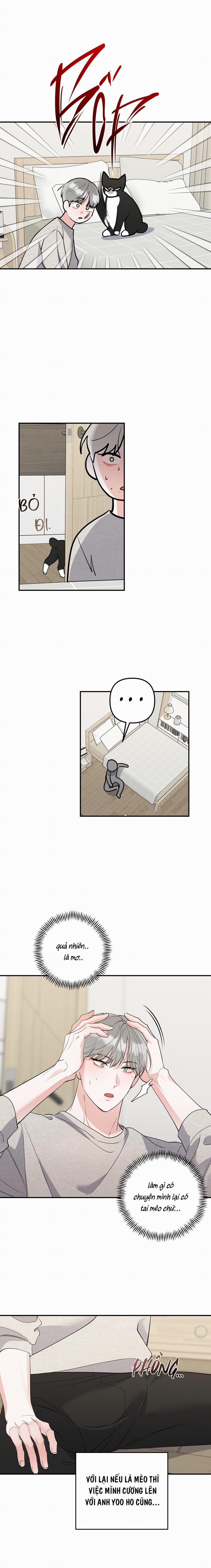 List Truyện Ngắn Chịt Chịt 71 MÈO 4 trang 8